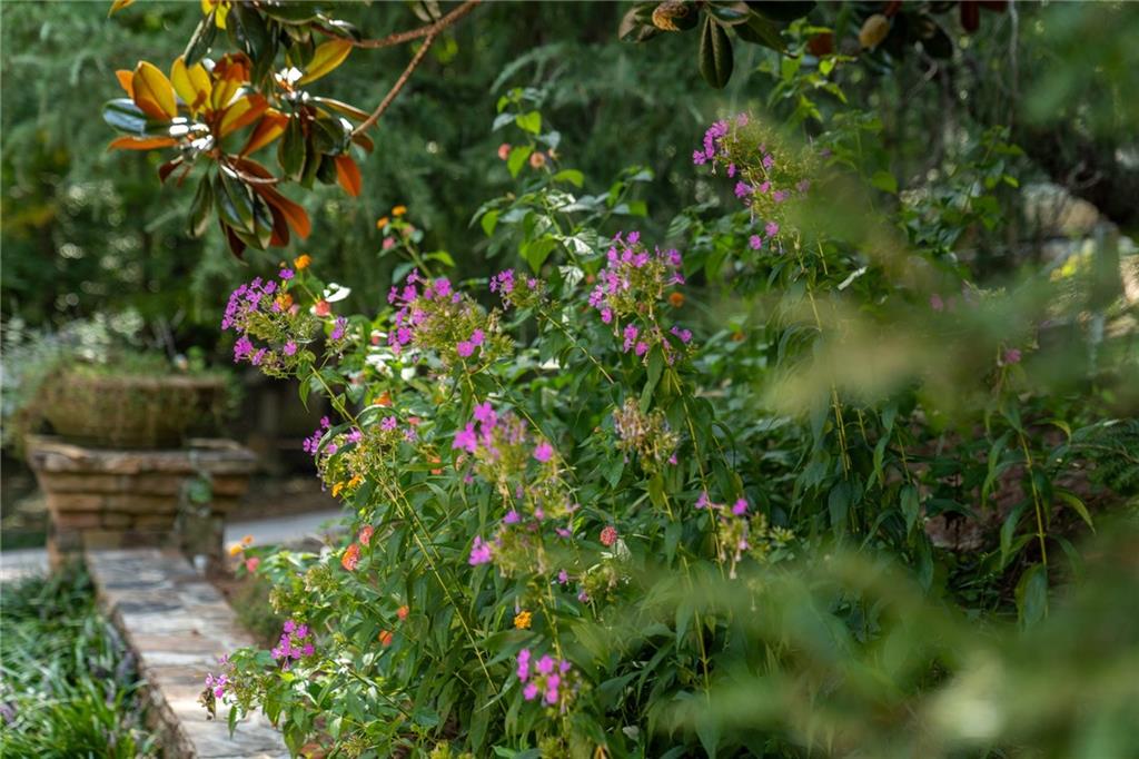 9975 BALL GROUND Highway