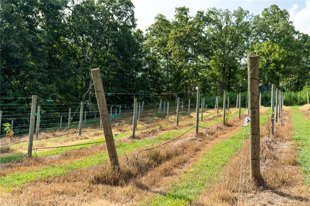 9975 BALL GROUND Highway