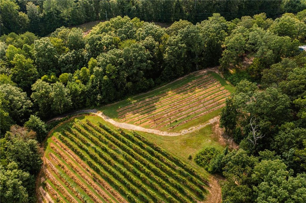 9975 BALL GROUND Highway