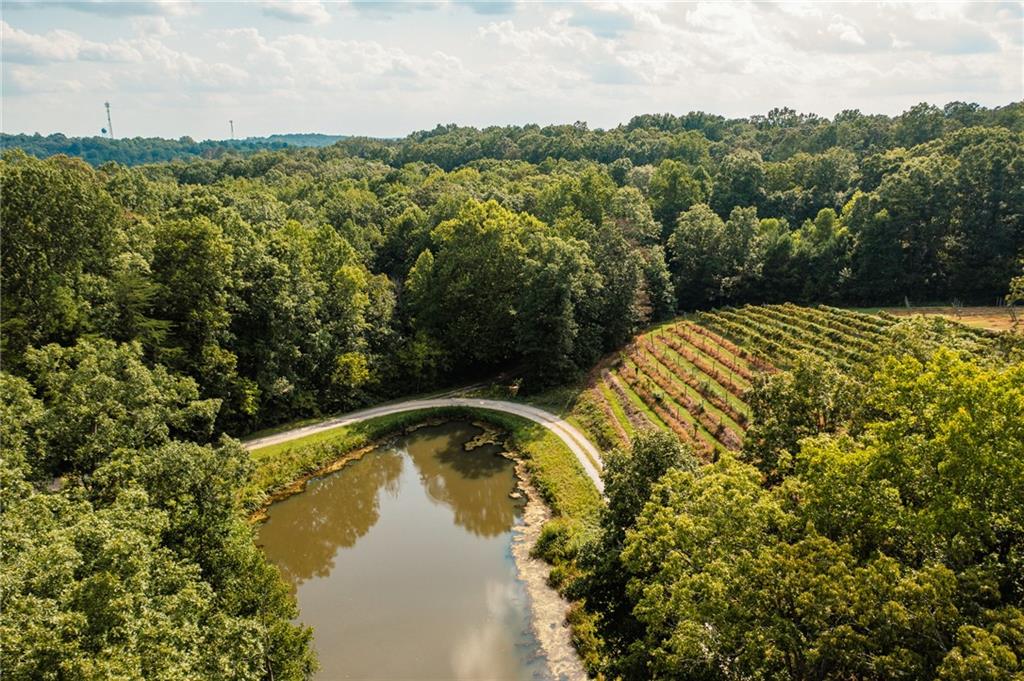 9975 BALL GROUND Highway