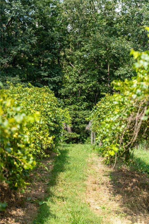 9975 BALL GROUND Highway