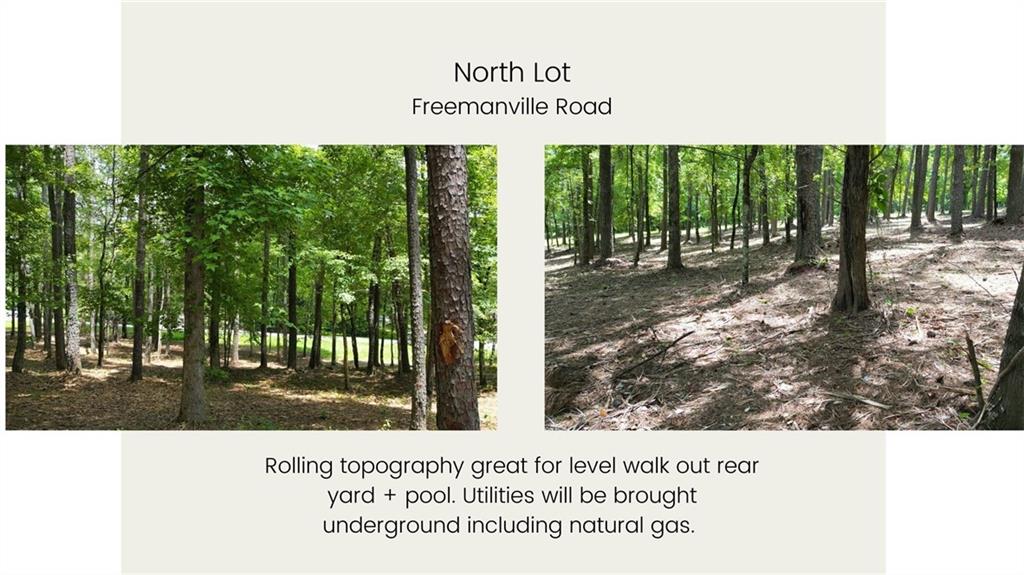 14890 Freemanville (North Lot) Road