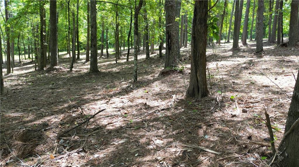 14890 Freemanville (North Lot) Road