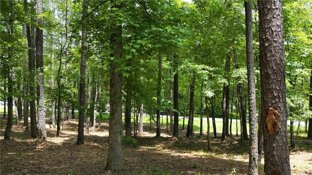 14890 Freemanville (North Lot) Road
