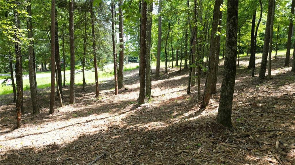 14890 Freemanville (North Lot) Road