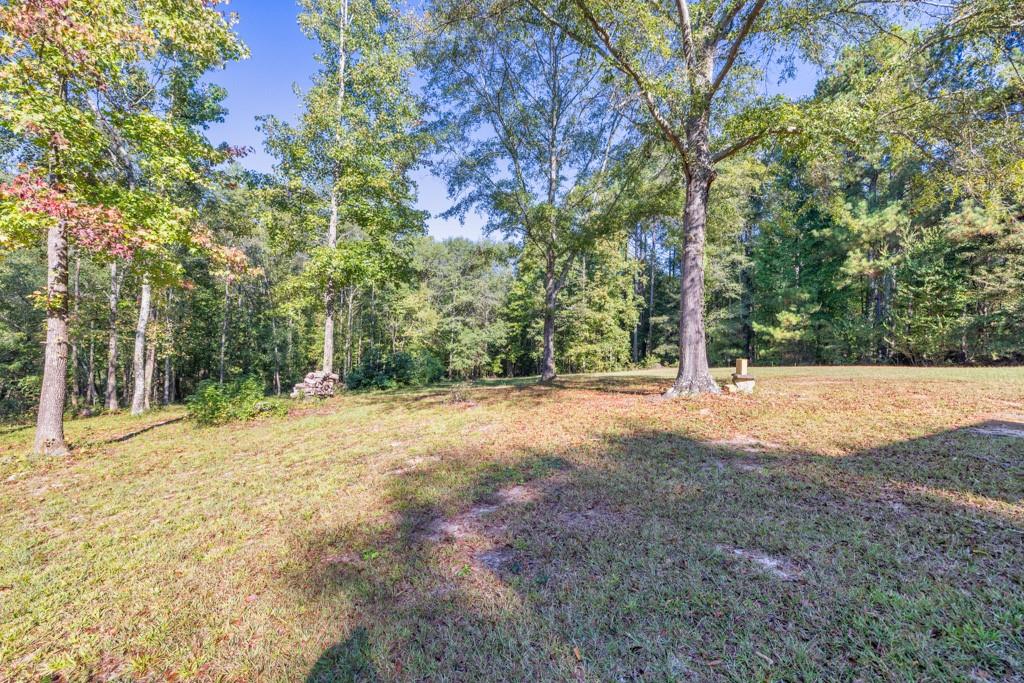 463 Hickory Bluff