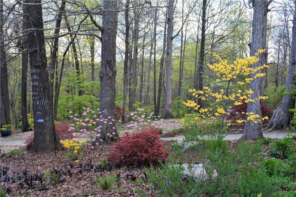 151 Belmont Oaks Drive