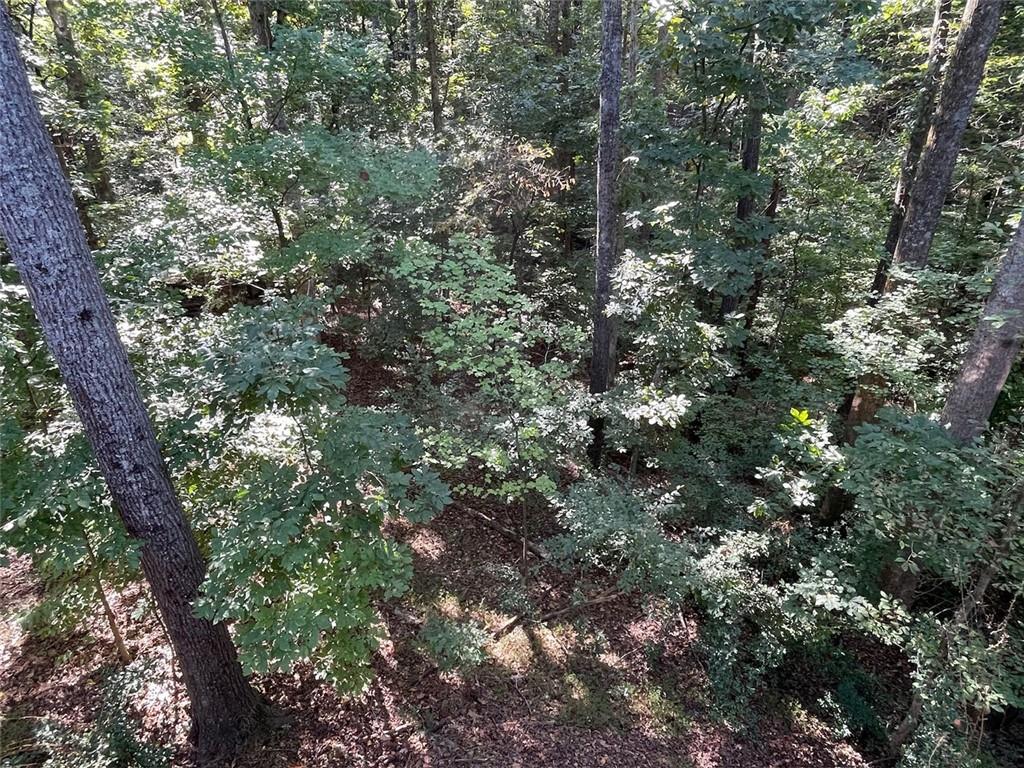 1407 Vicksburg Place