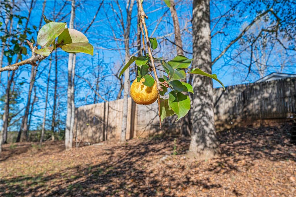 159 Cherrystone Walk
