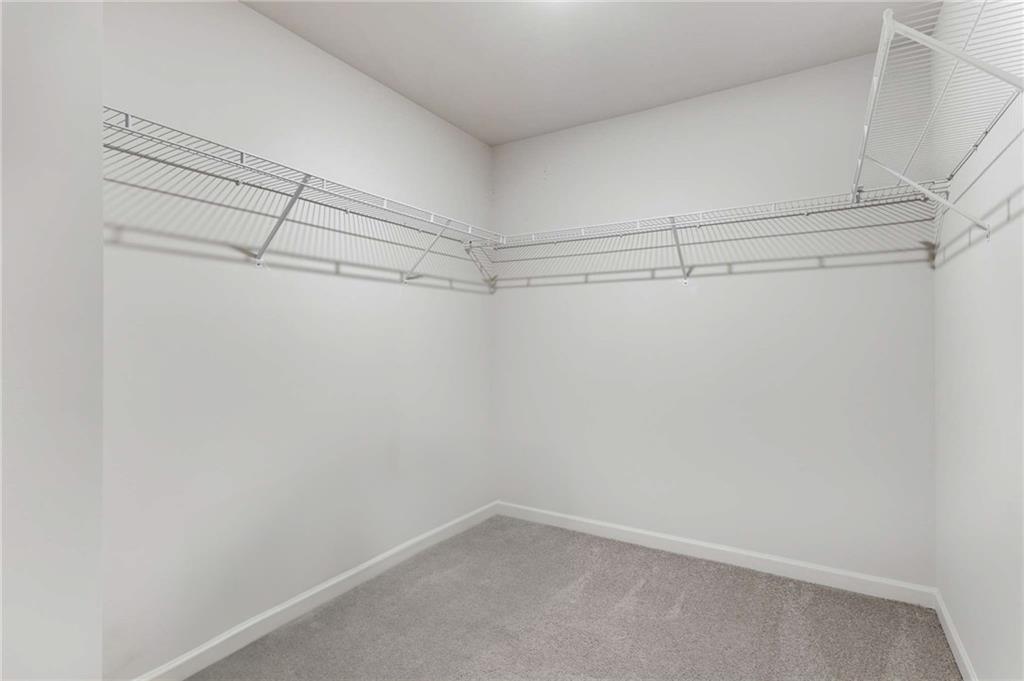 181 Treeline Trail