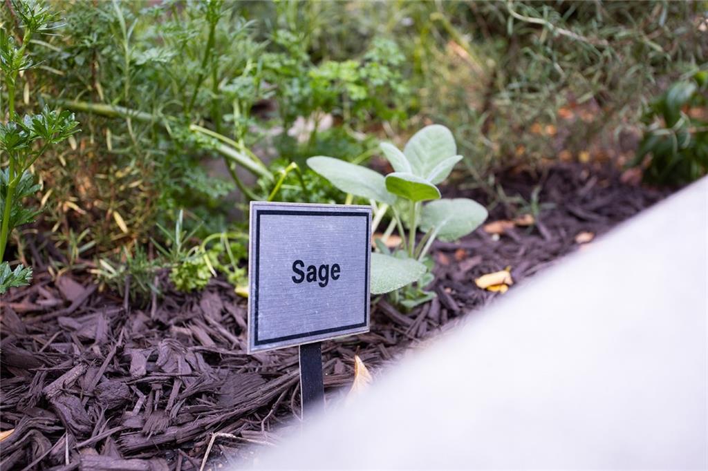 3445 Stratford Road NE Unit 1605