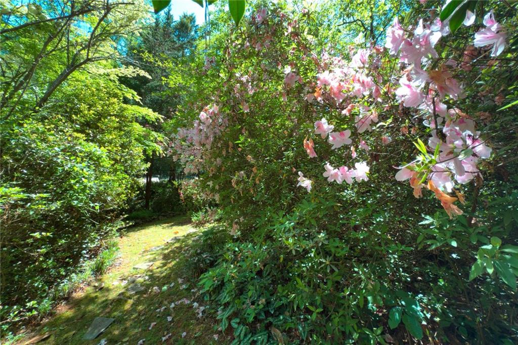 1144 Evergreen Drive NE