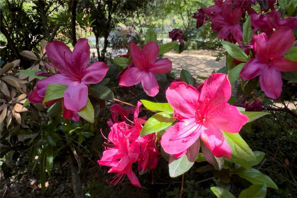 1144 Evergreen Drive NE