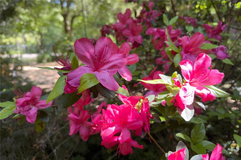 1144 Evergreen Drive NE