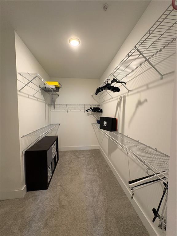 2523 Oakbourne Lane