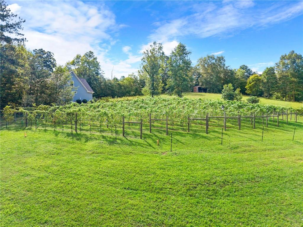 299 Happy Trails Way