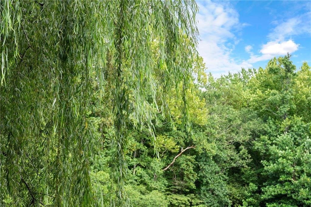 299 Happy Trails Way