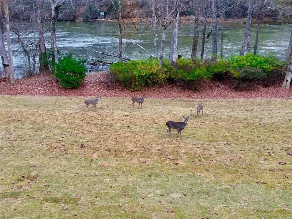 5354 Manteo Inlet