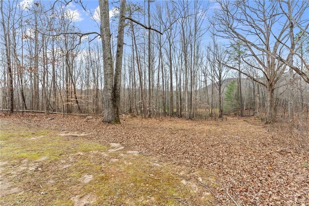232 Happy Trails Way