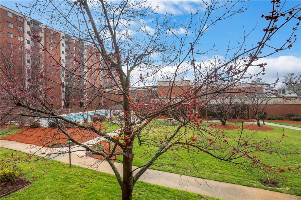 300 Johnson Ferry Road NE Unit B206