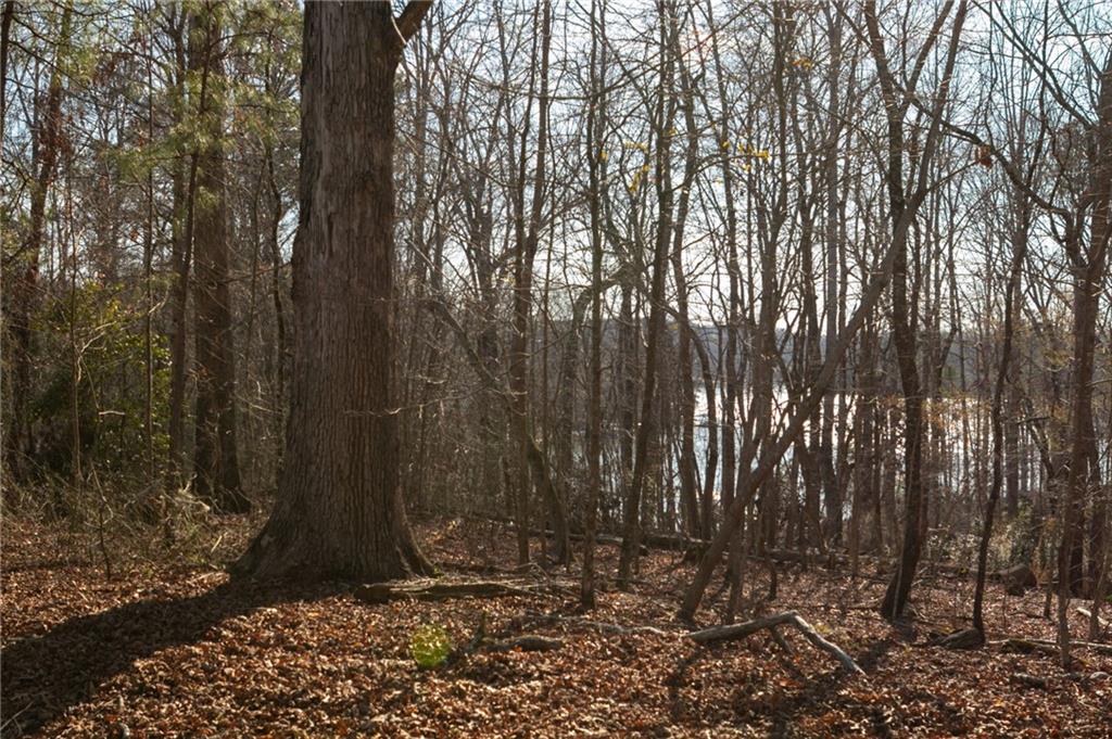 6212 Autumn Hill Court