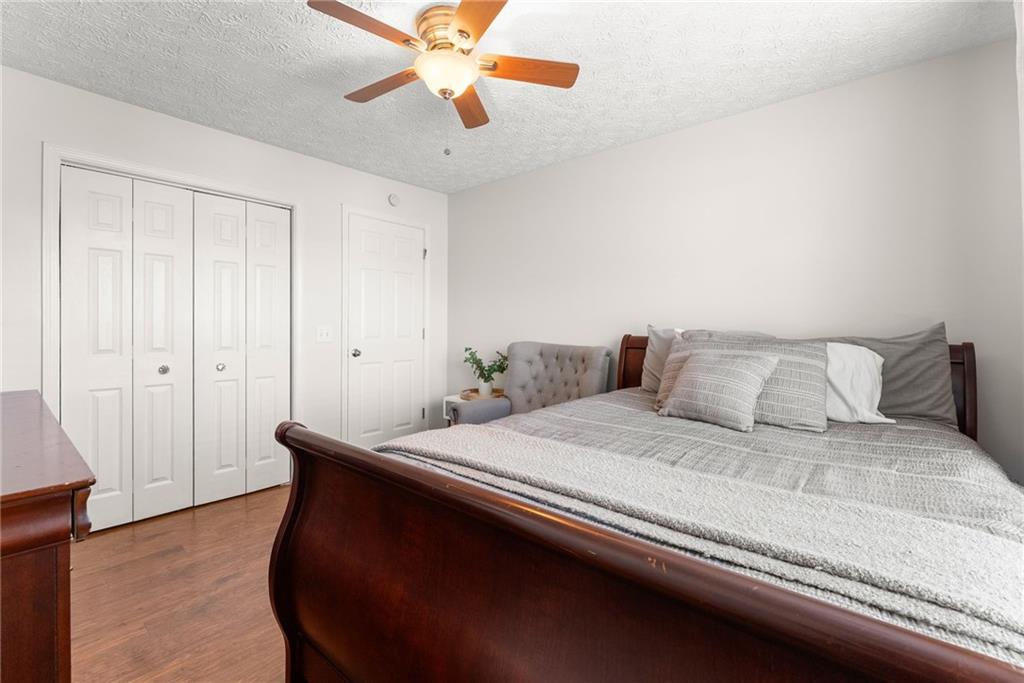 6505 Dressage Crossing