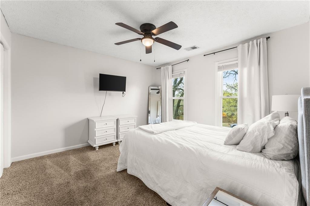 6505 Dressage Crossing