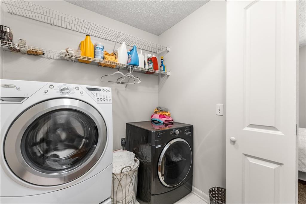 6505 Dressage Crossing