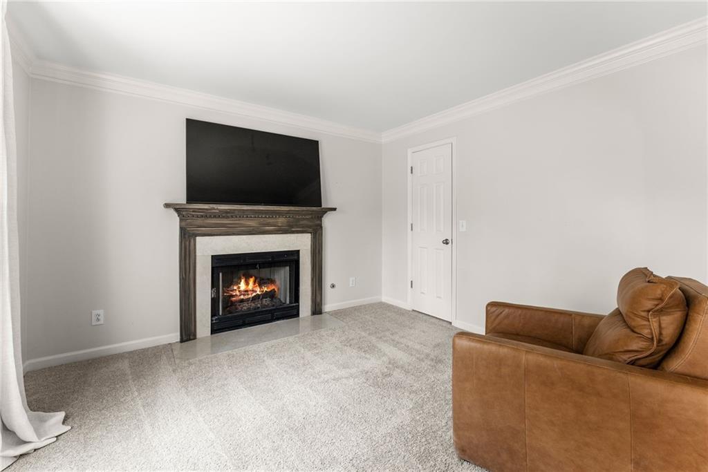 6505 Dressage Crossing