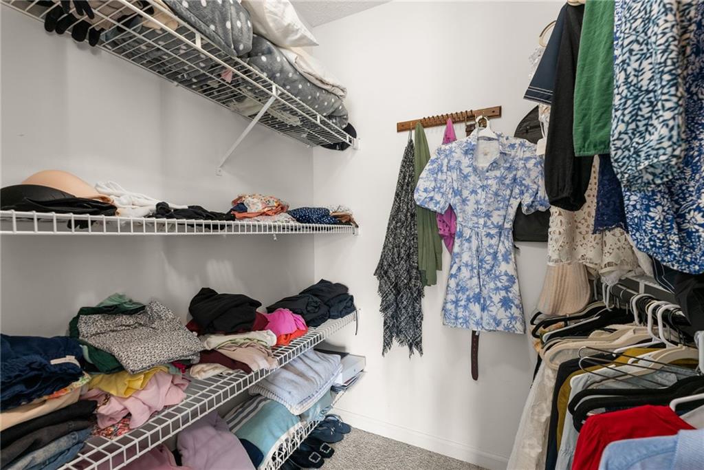 6505 Dressage Crossing