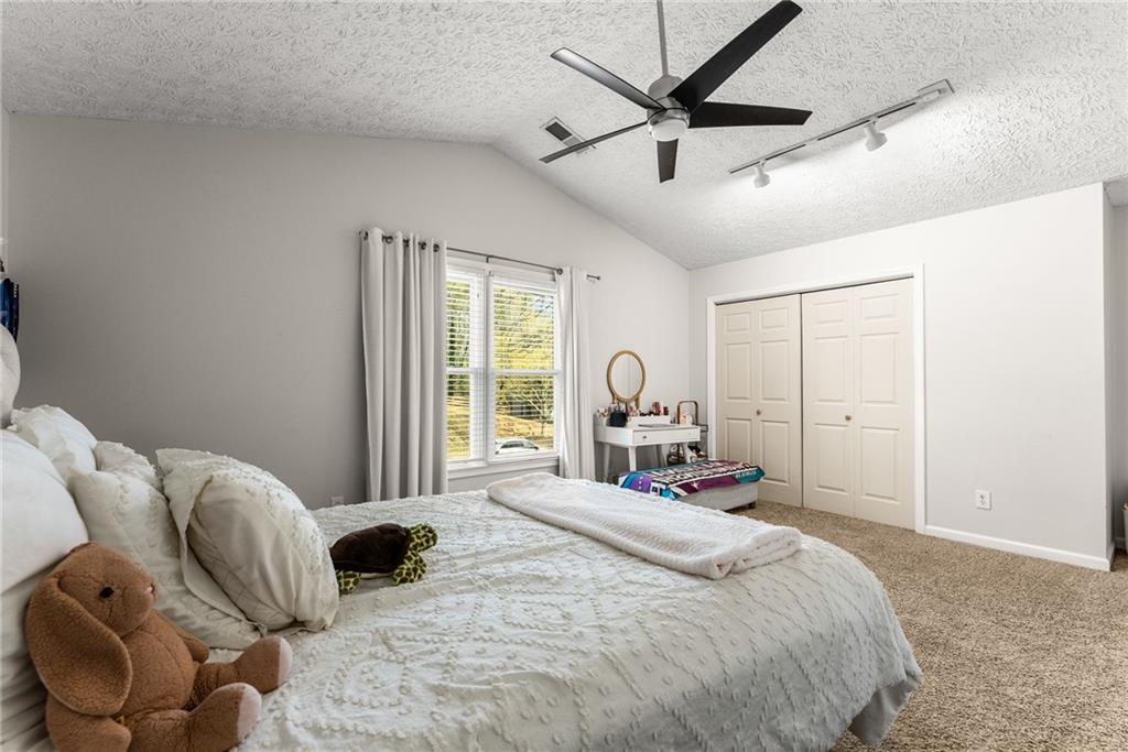 6505 Dressage Crossing