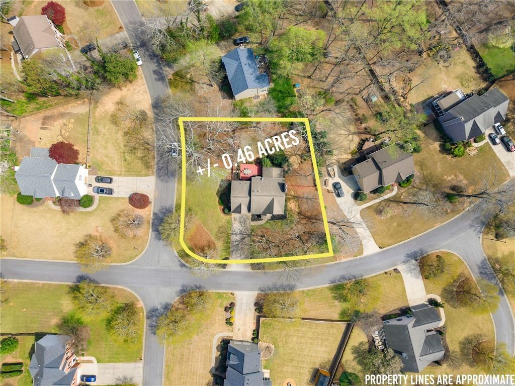 6505 Dressage Crossing