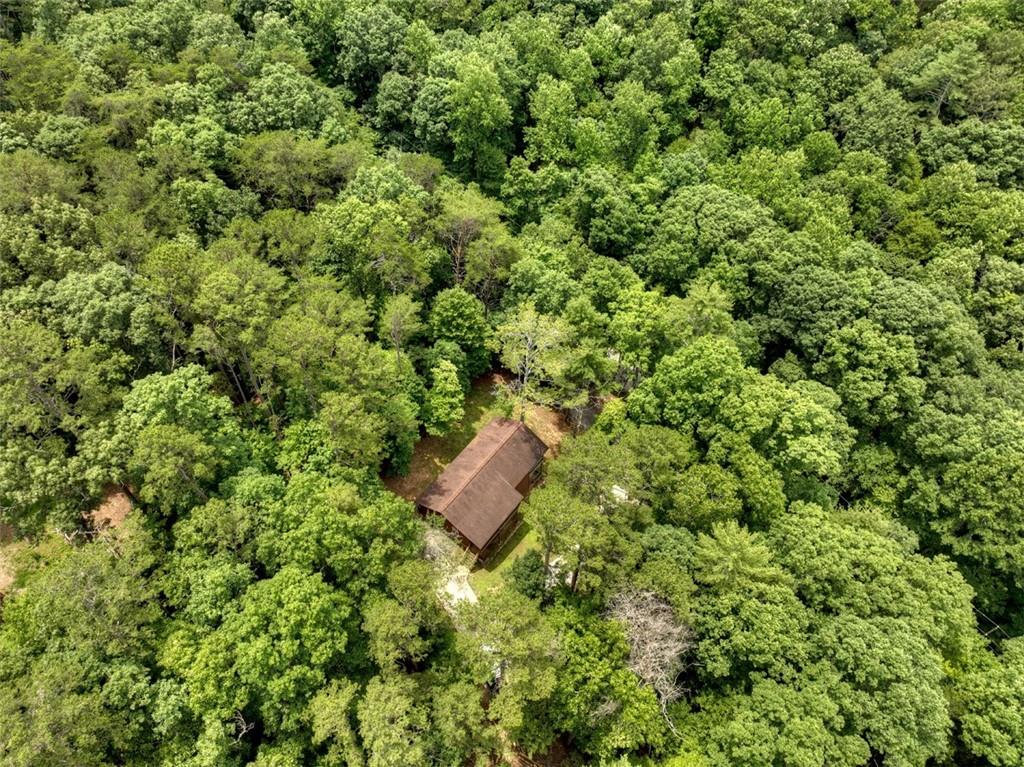 298 Spindrift Court
