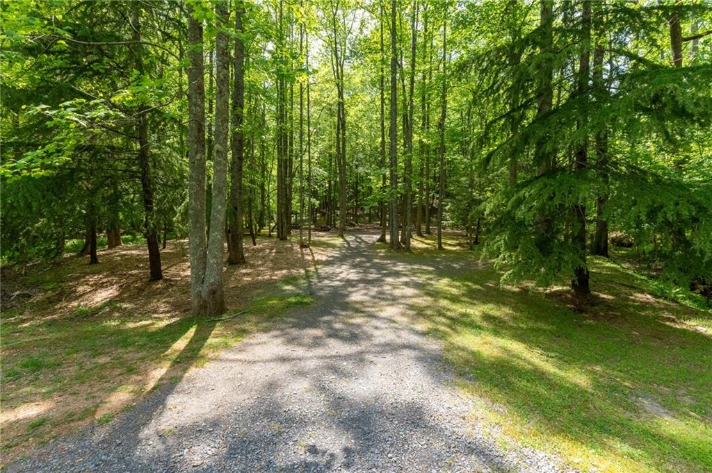 24 Fern Creek Court