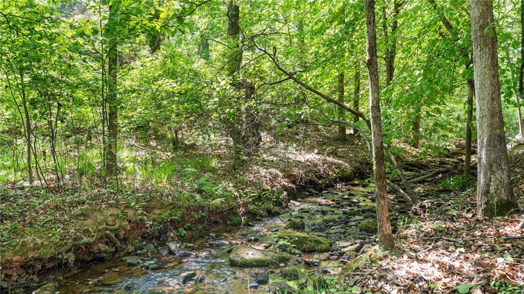 1445 Badingham Drive