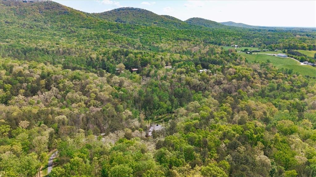 545 Cowart Mountain Road