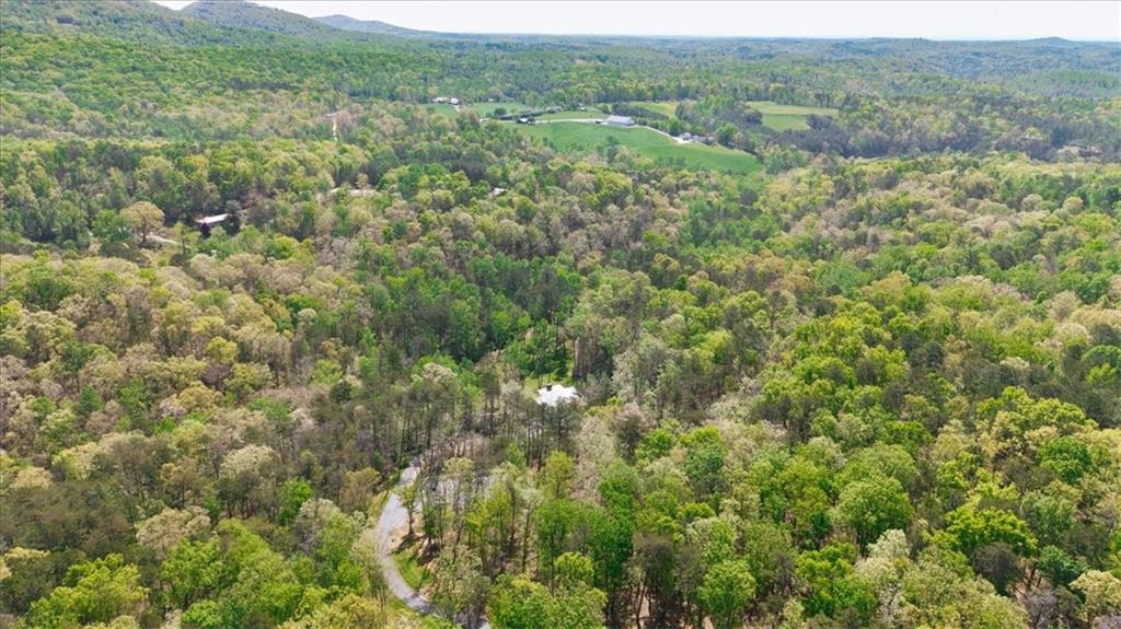 545 Cowart Mountain Road