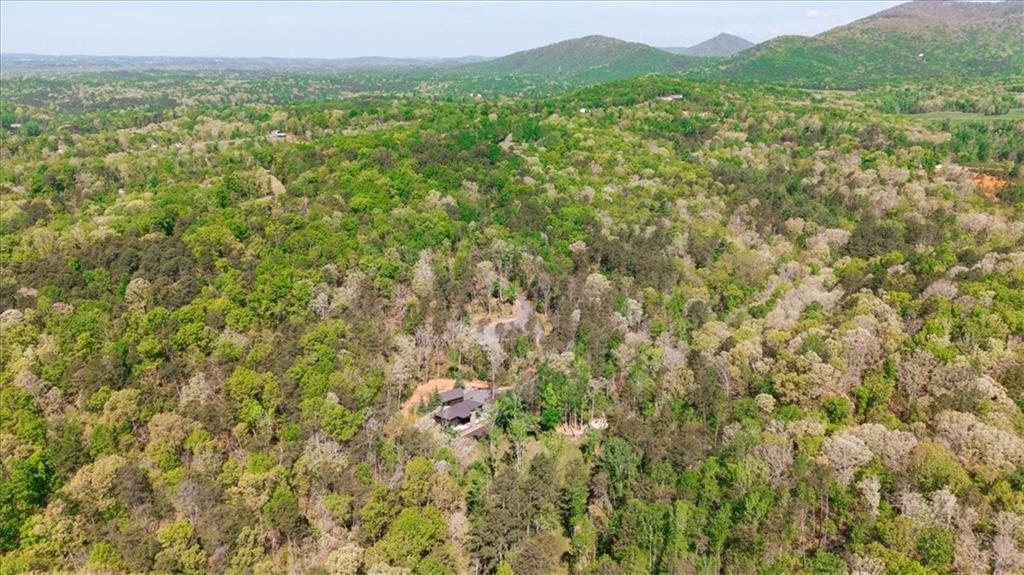 545 Cowart Mountain Road