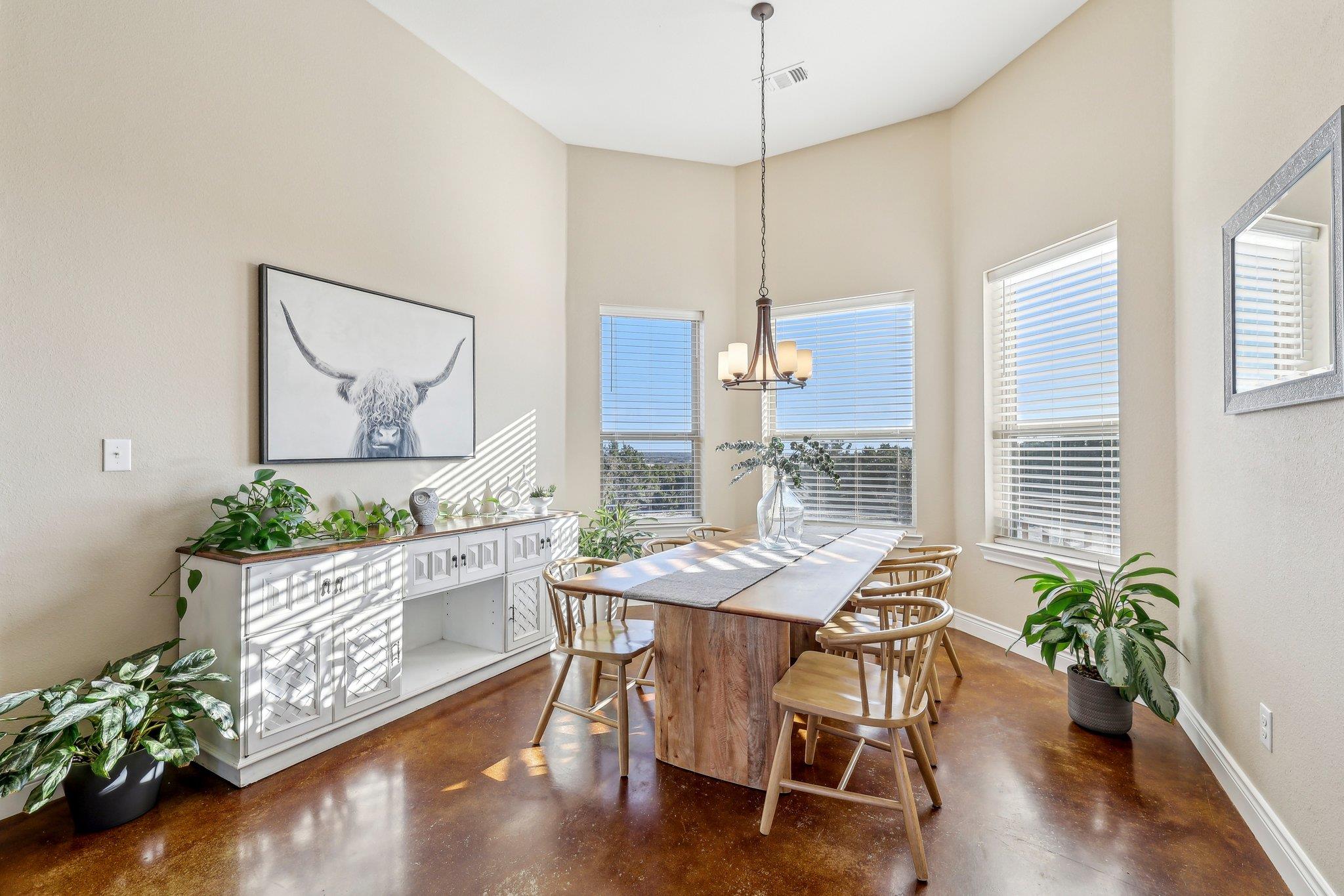 101 Rain Lily CT