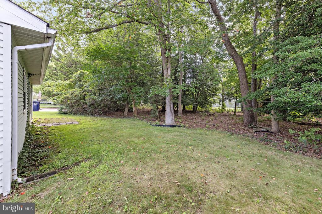 231 LEXINGTON DRIVE