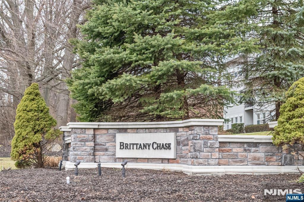 8202 Brittany Drive