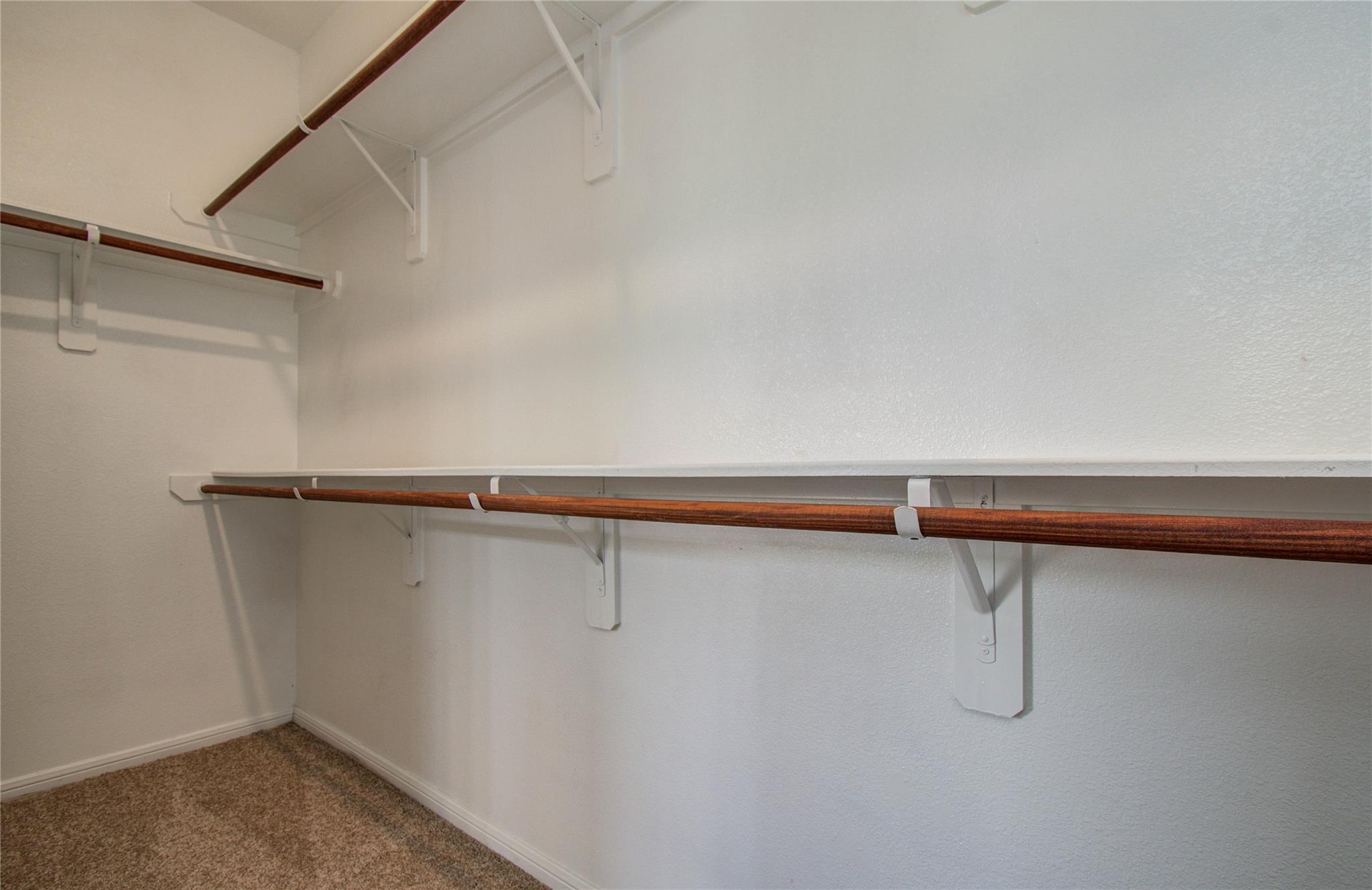 23003 Black Mountain Ash Court