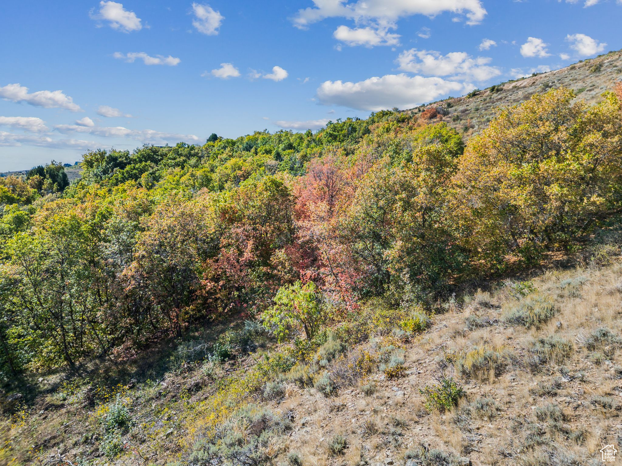 926 W CISCO RUN Unit: 82