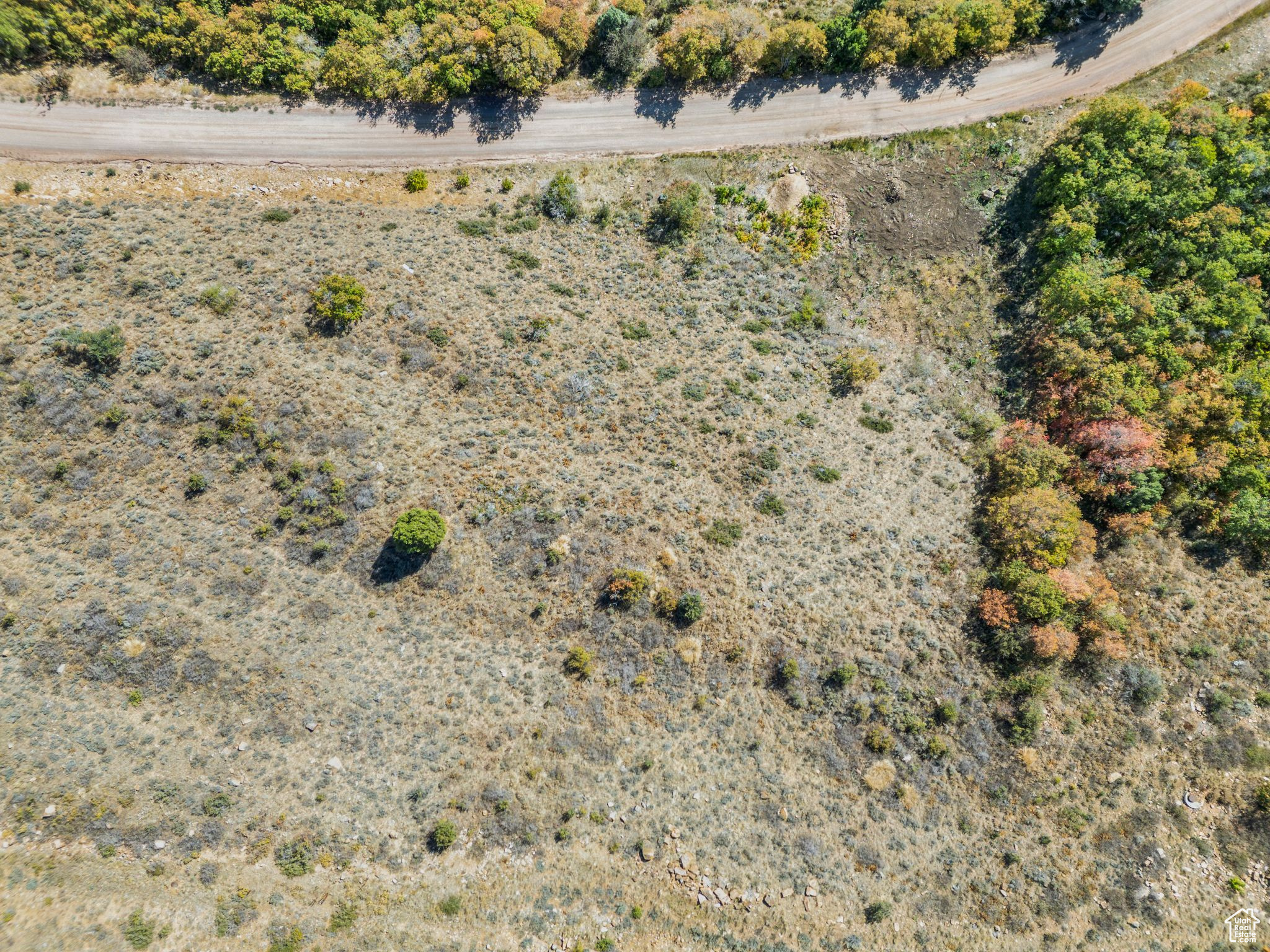 926 W CISCO RUN Unit: 82