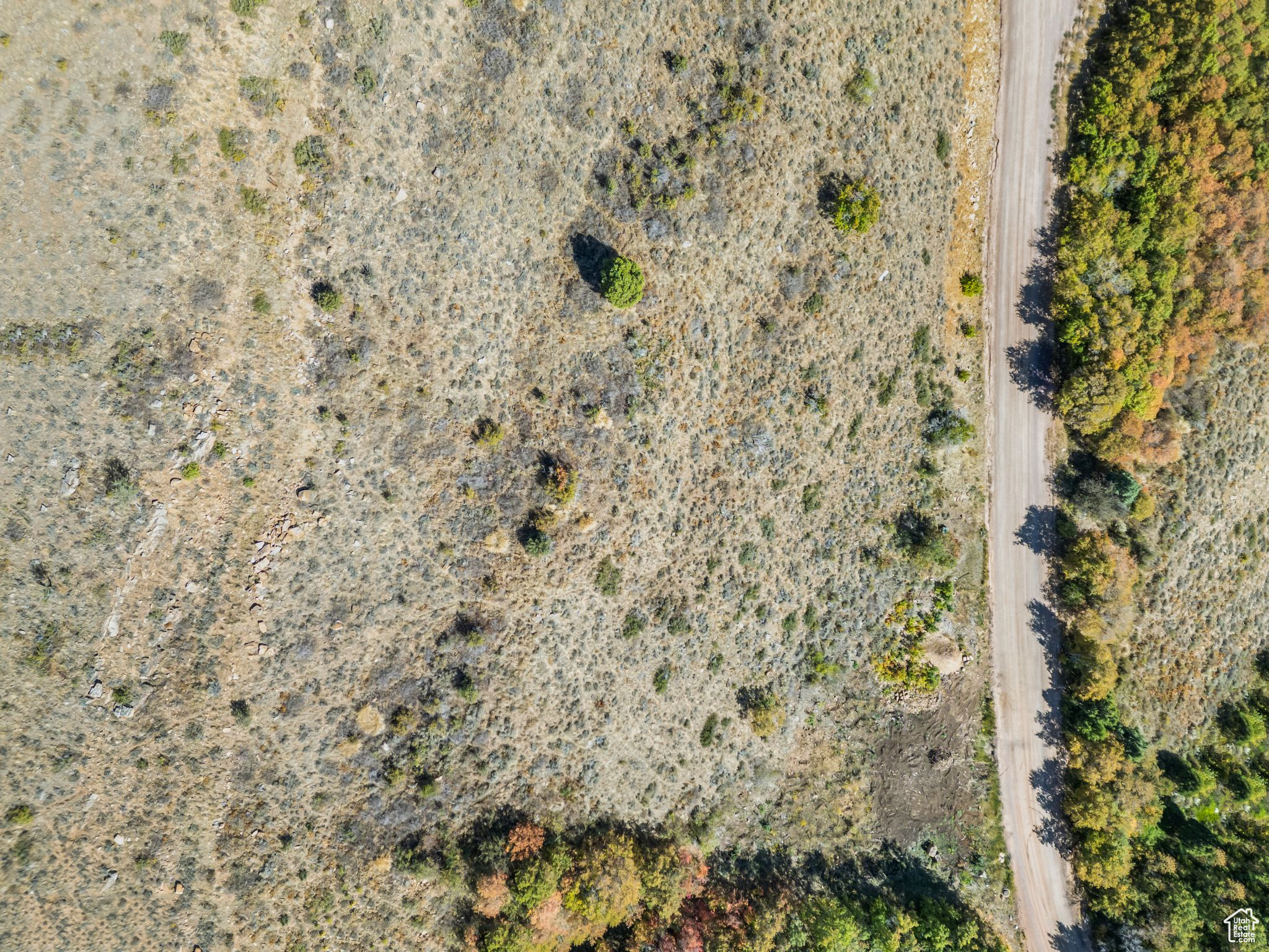 926 W CISCO RUN Unit: 82