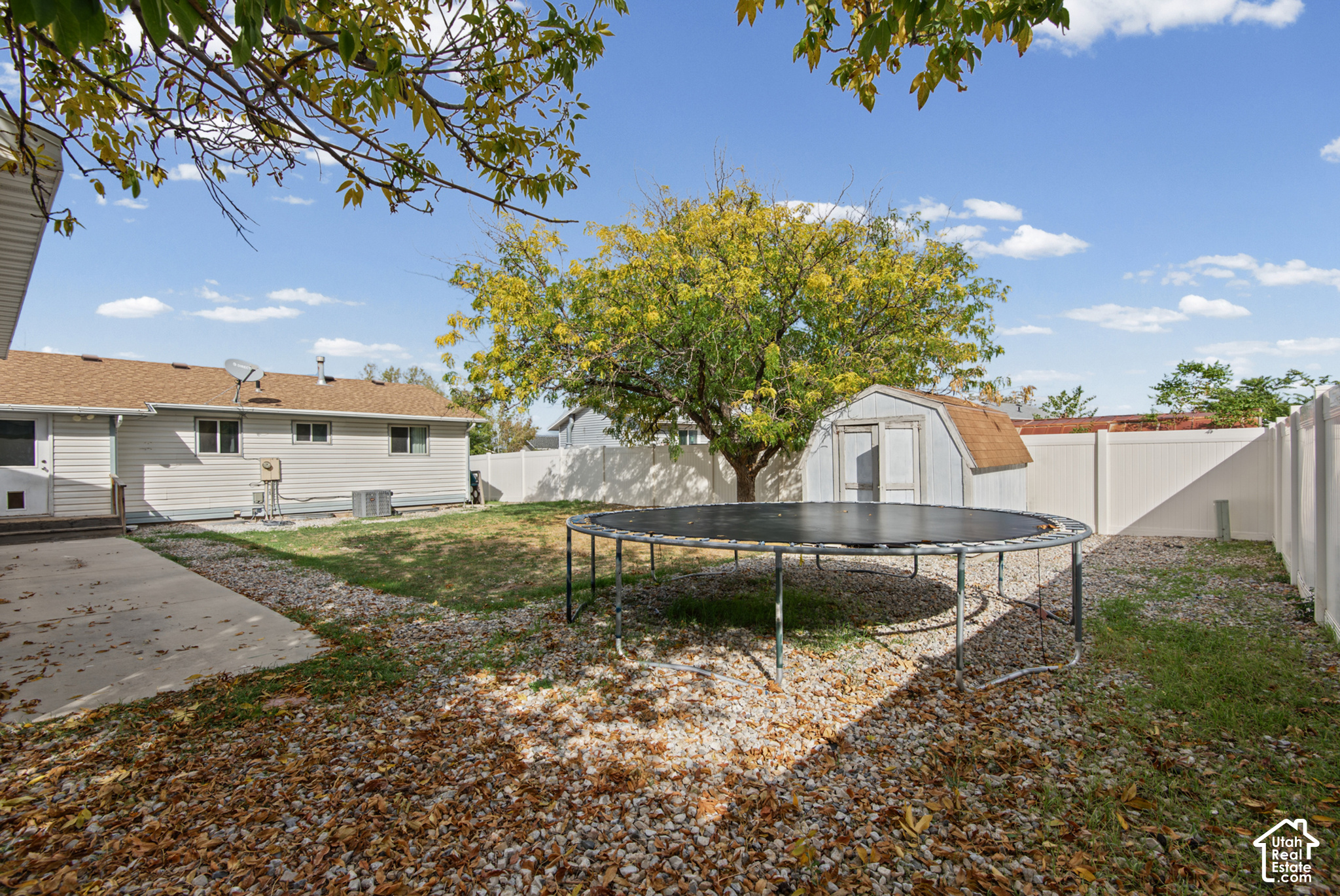 Fenced backyard with a trampoline, storage shed, and large tree.
