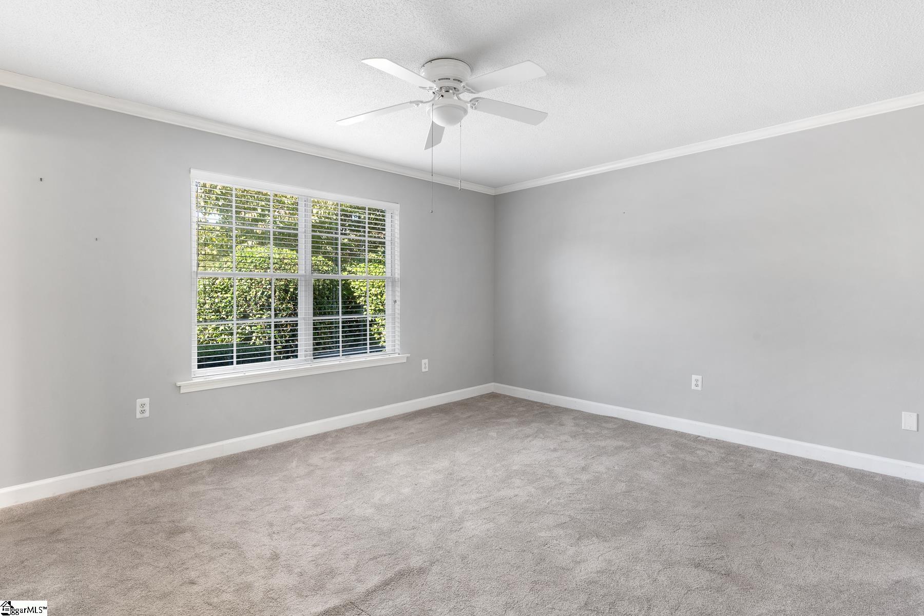 925 Cleveland Street # 229