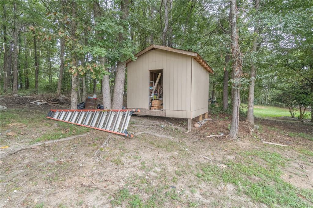 2728 Winky Bluff