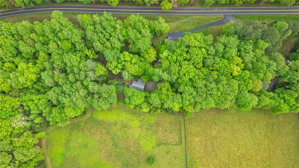 115 Maple Leaf Drive