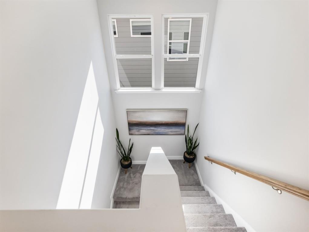 3790 Salvia Drive